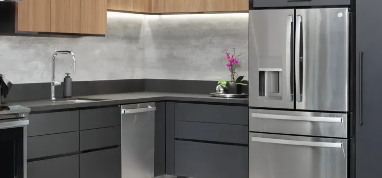 ge-profile-refrigerator-and-dishwasher